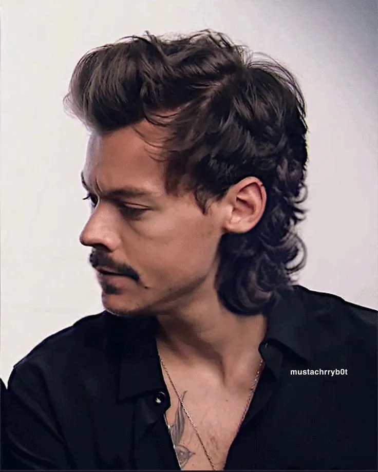 Harry Styles mullet