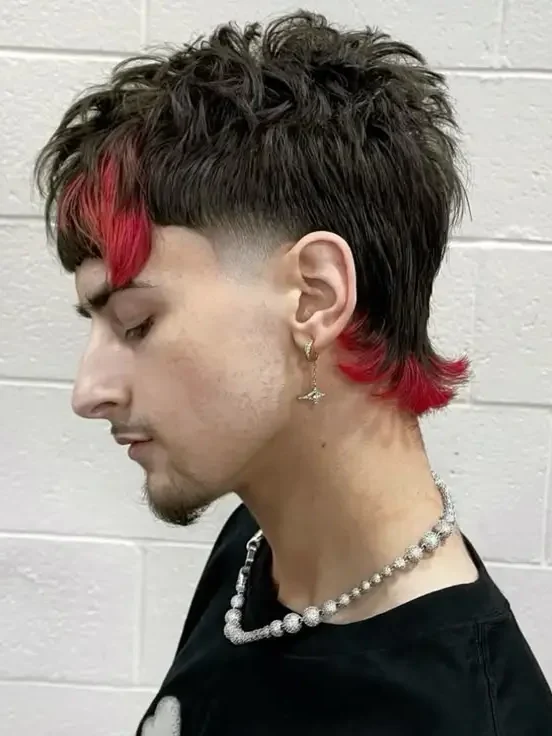Mullet with Dyed Ends