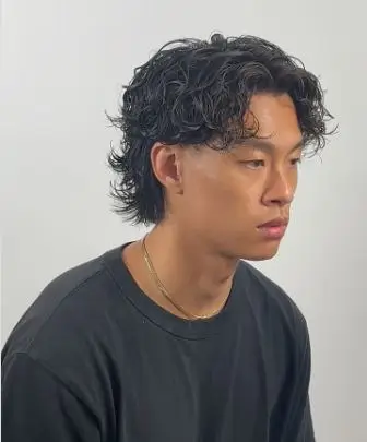 Wavy mullet