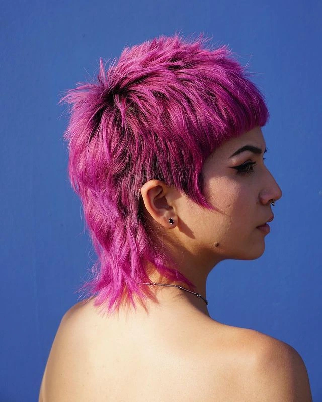 Fantasy Color Mullets