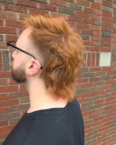 Ginger Mullet