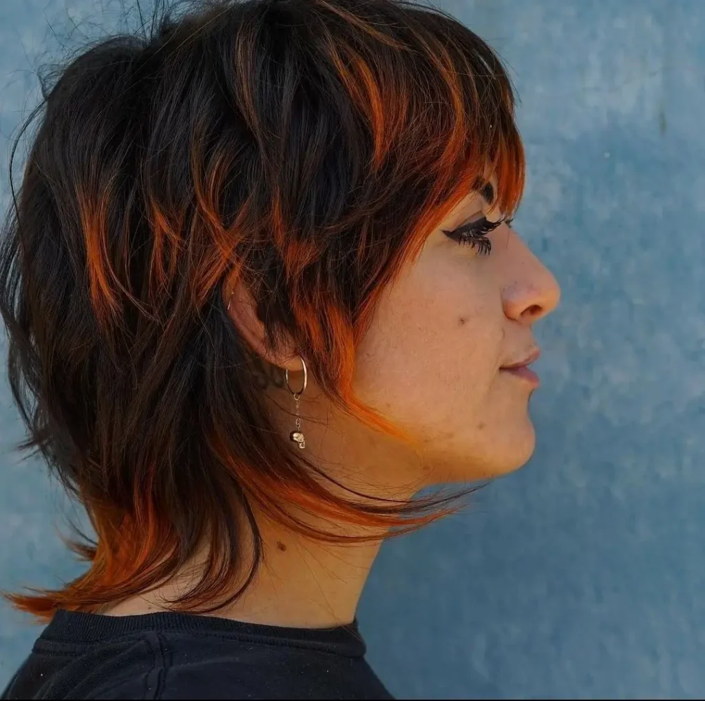 Mullet with Dyed Ends